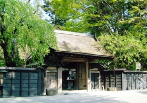 photo_akita_1