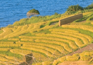 photo_kanazawa_2