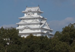 photo_kobe_2