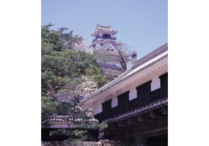 photo_kochi_1