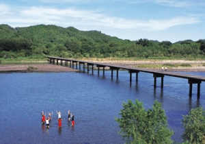 photo_kochi_2