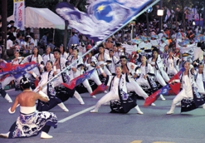 photo_kochi_3