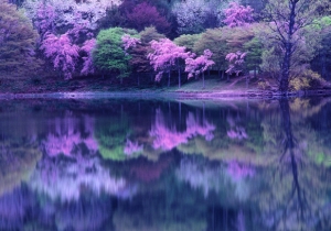 photo_koriyama_1