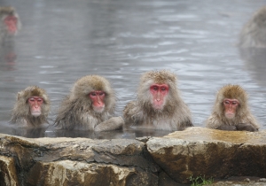 photo_nagano_3