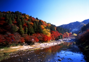 photo_nagoya_2