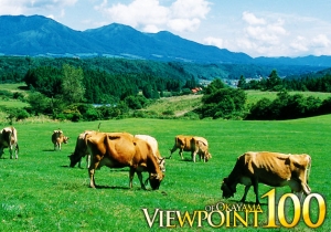 photo_okayama_3