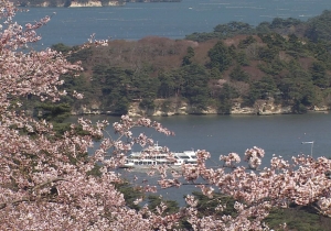 photo_sendai_1