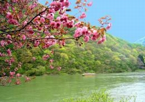photo_yamagata_2