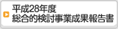 平成28年度総合的検討事業成果報告書